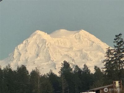 31319 555th Street E, Ashford, WA 98304 - Photo 15