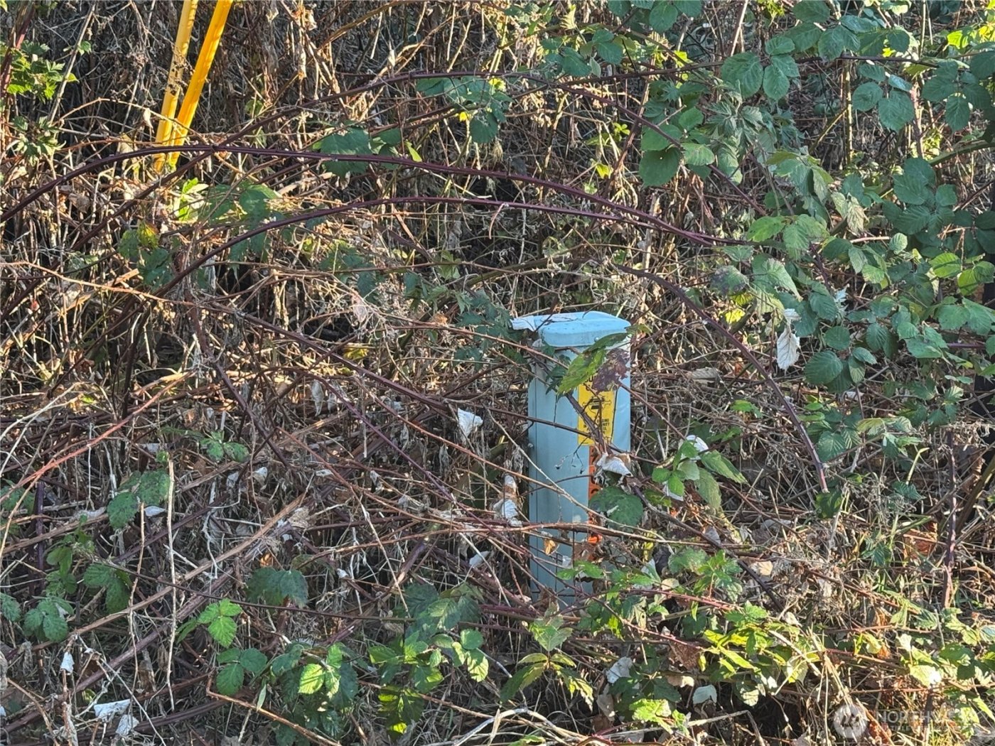 31319 555th Street E, Ashford, WA 98304