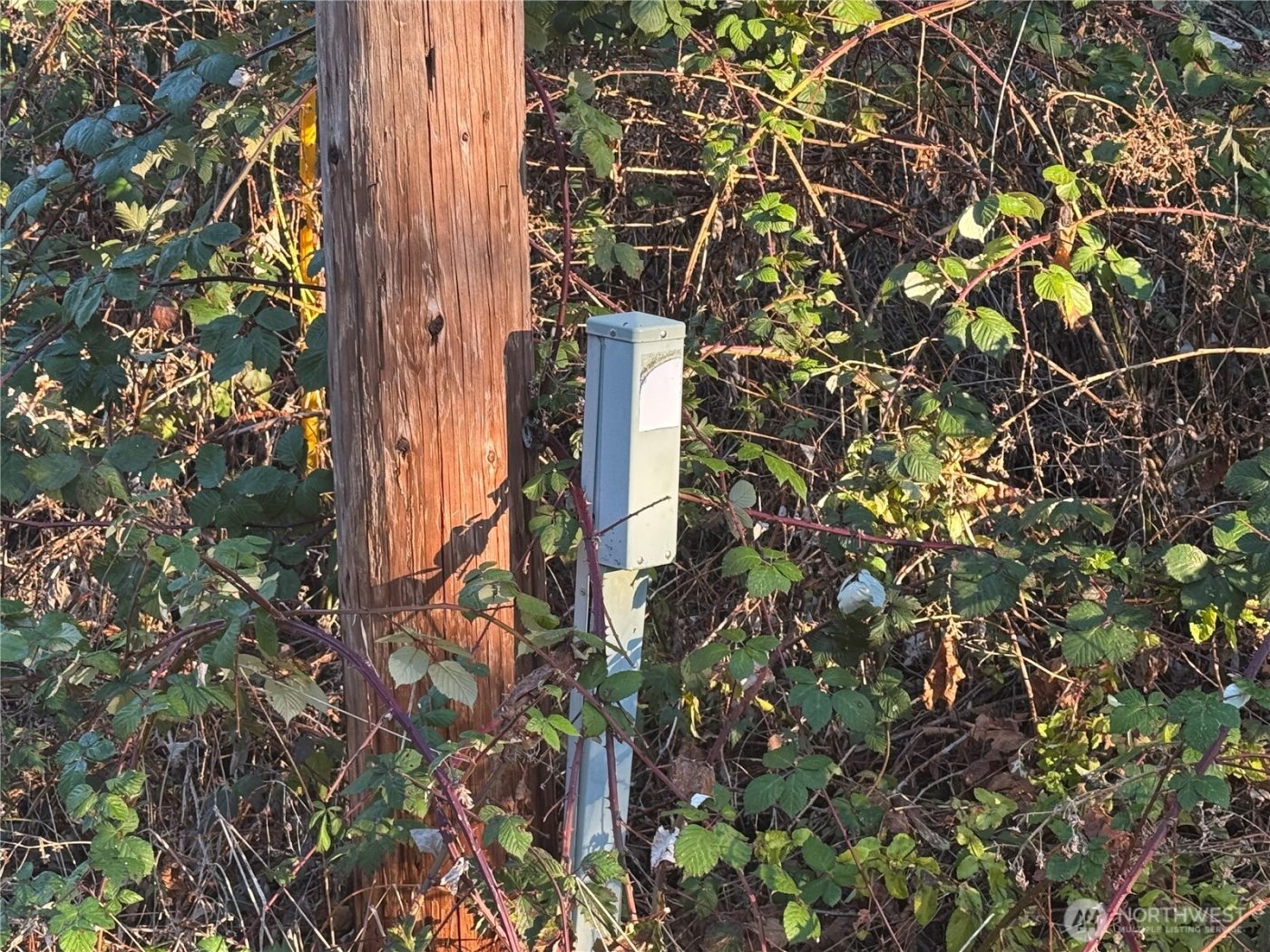 31319 555th Street E, Ashford, WA 98304