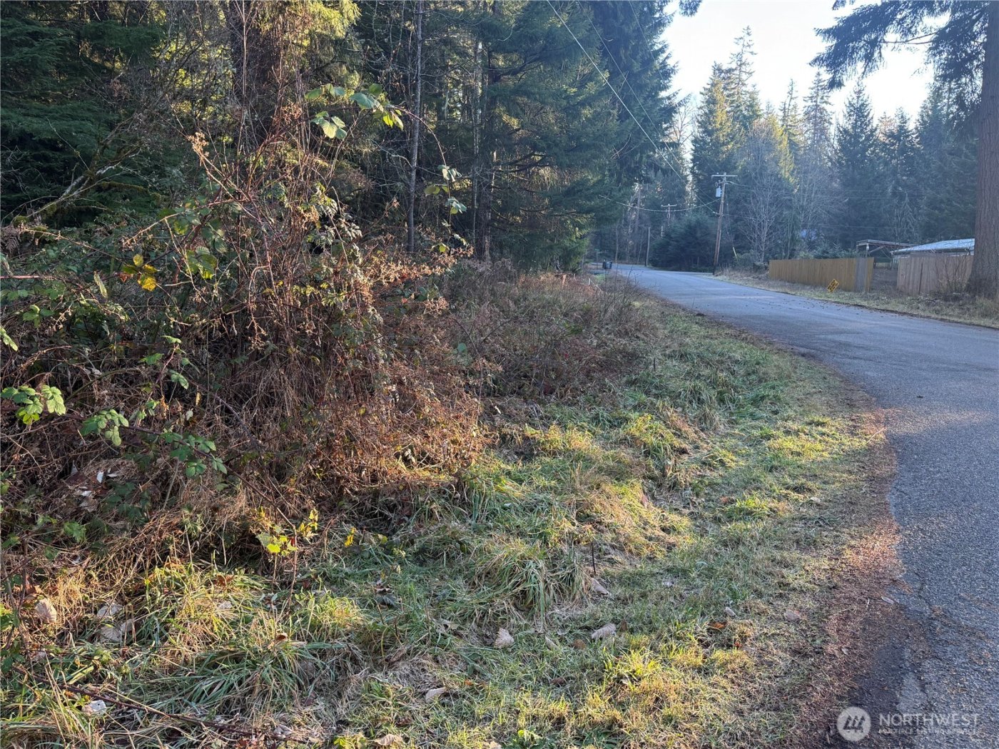 31319 555th Street E, Ashford, WA 98304