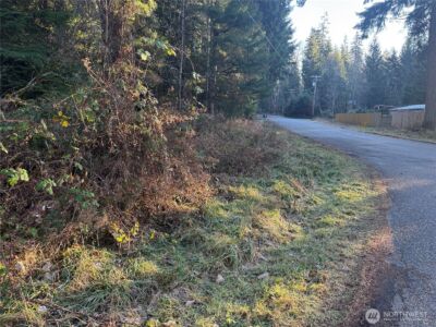 31319 555th Street E, Ashford, WA 98304 - Photo 5