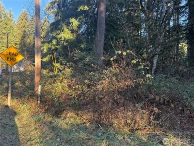 31319 555th Street E, Ashford, WA 98304 - Photo 6