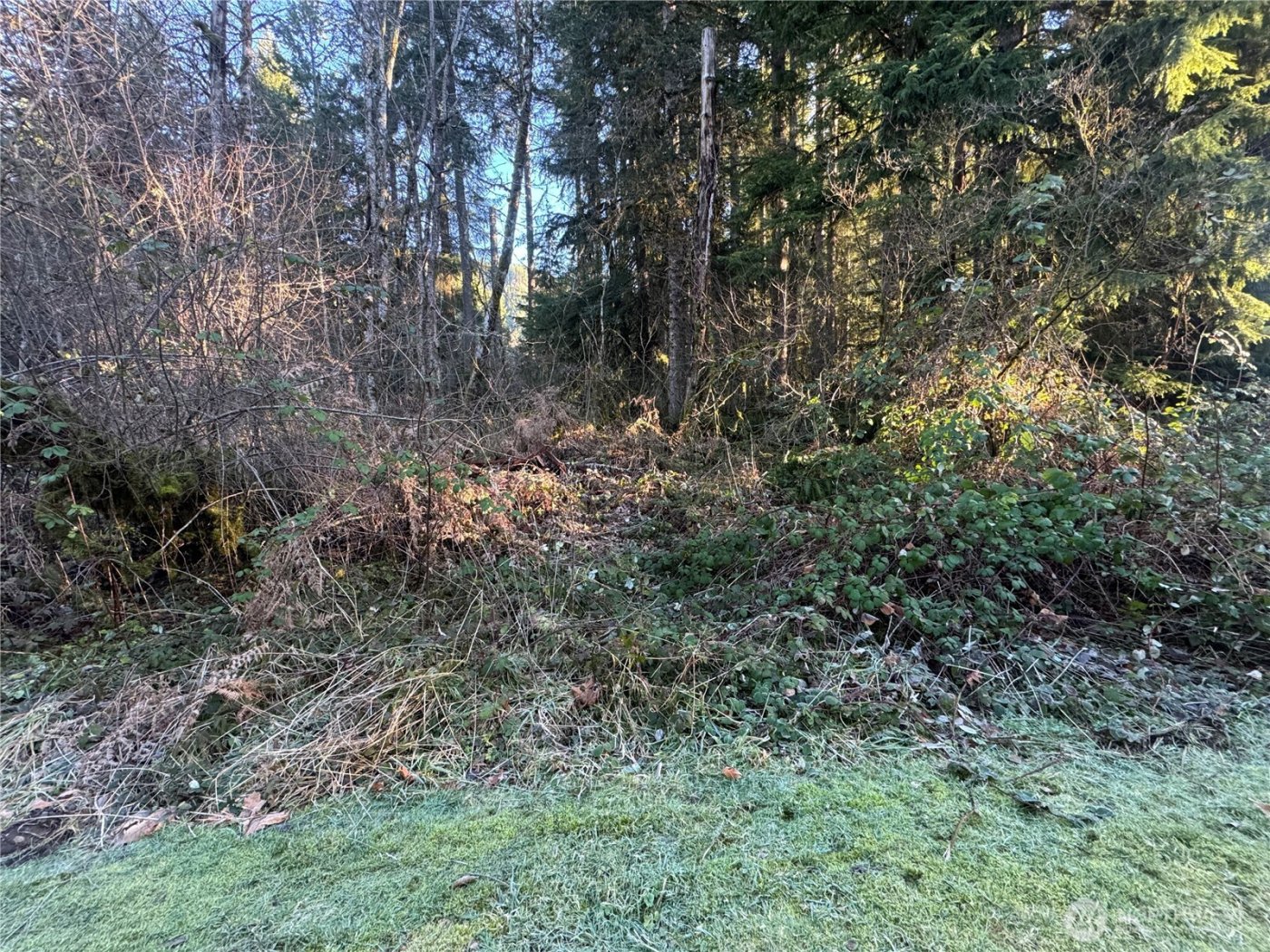 31319 555th Street E, Ashford, WA 98304