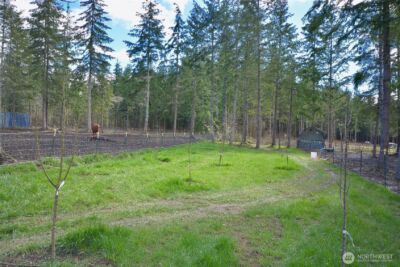 20331 167th Lane SE, Yelm, WA 98597 - Photo 11