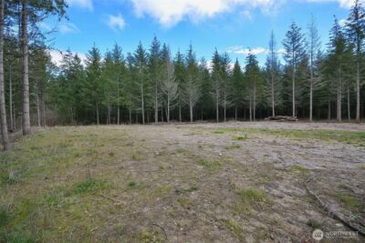 20331 167th Lane SE, Yelm, WA 98597 - Photo 18