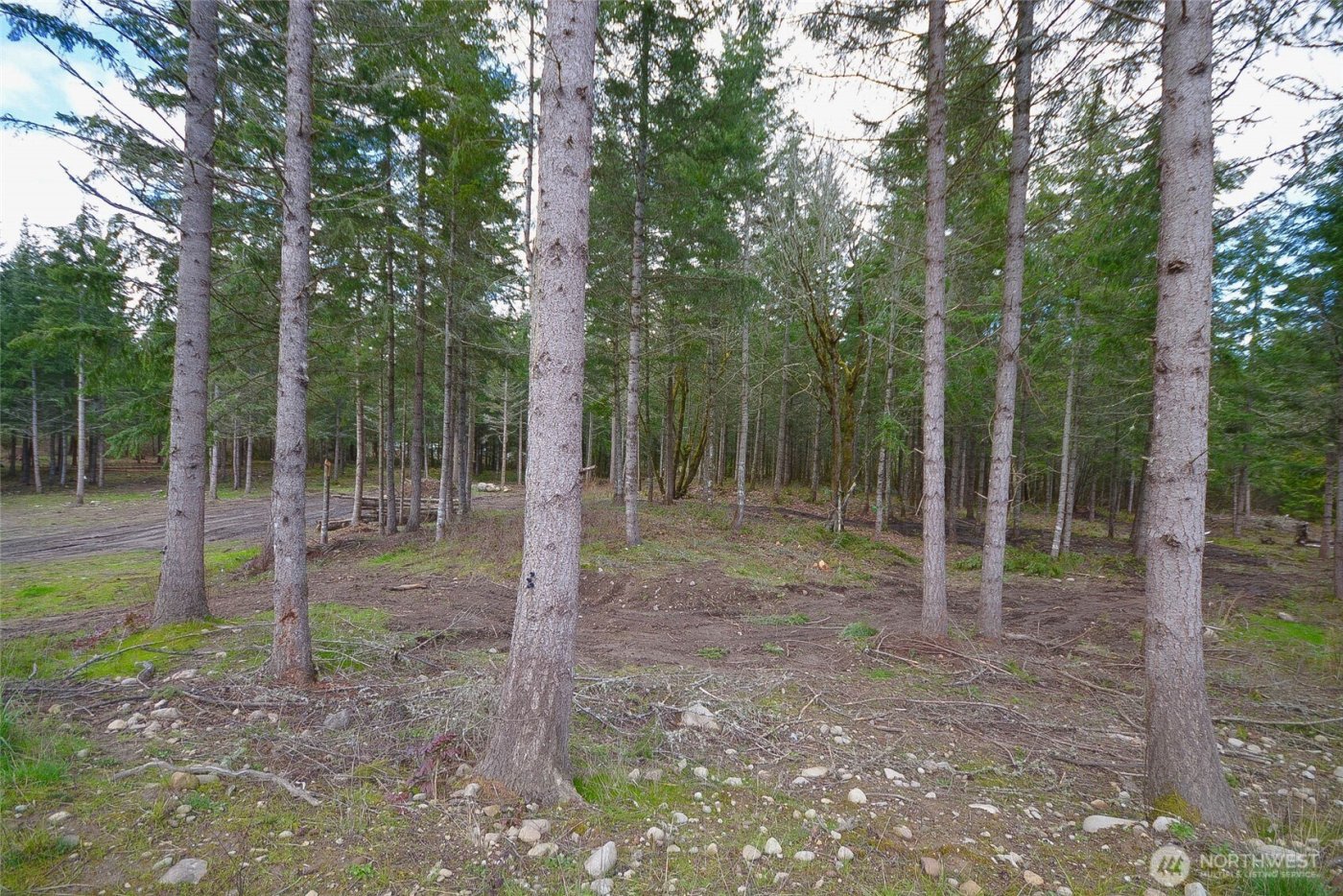 20331 167th Lane SE, Yelm, WA 98597