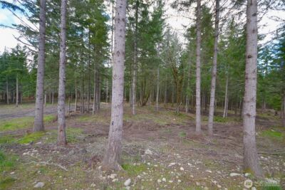 20331 167th Lane SE, Yelm, WA 98597 - Photo 19