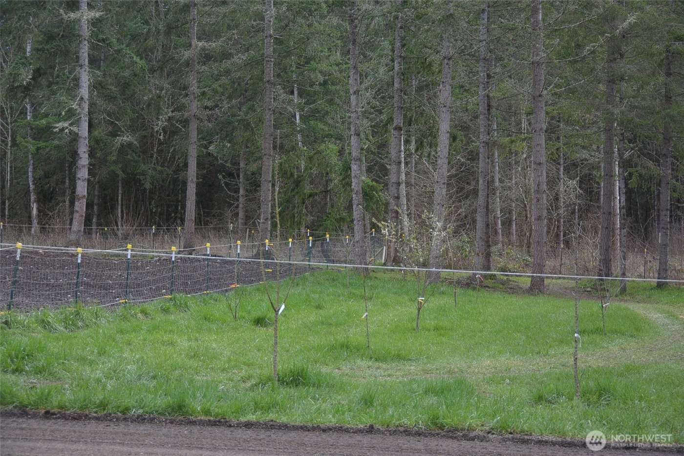 20331 167th Lane SE, Yelm, WA 98597