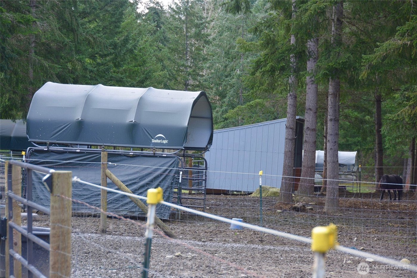 20331 167th Lane SE, Yelm, WA 98597