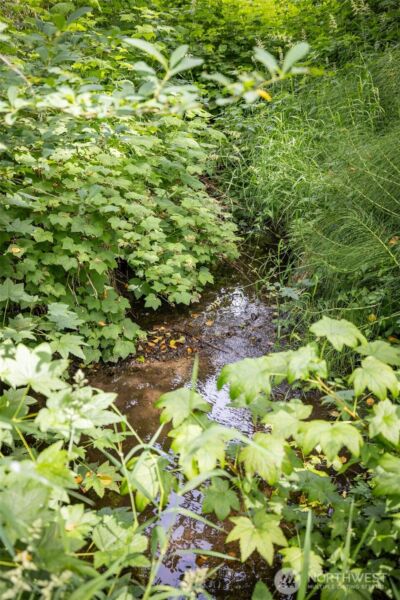 273 Pearce Road , Port Angeles, WA 98362 - Photo 39