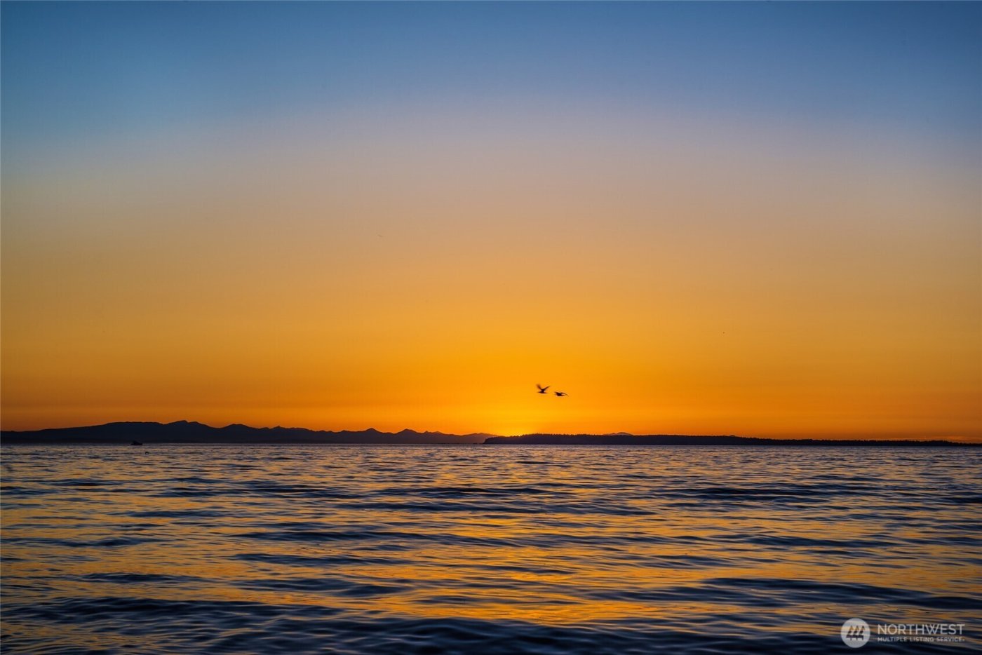 9545 Semiahmoo Parkway #201, Blaine, WA 98230