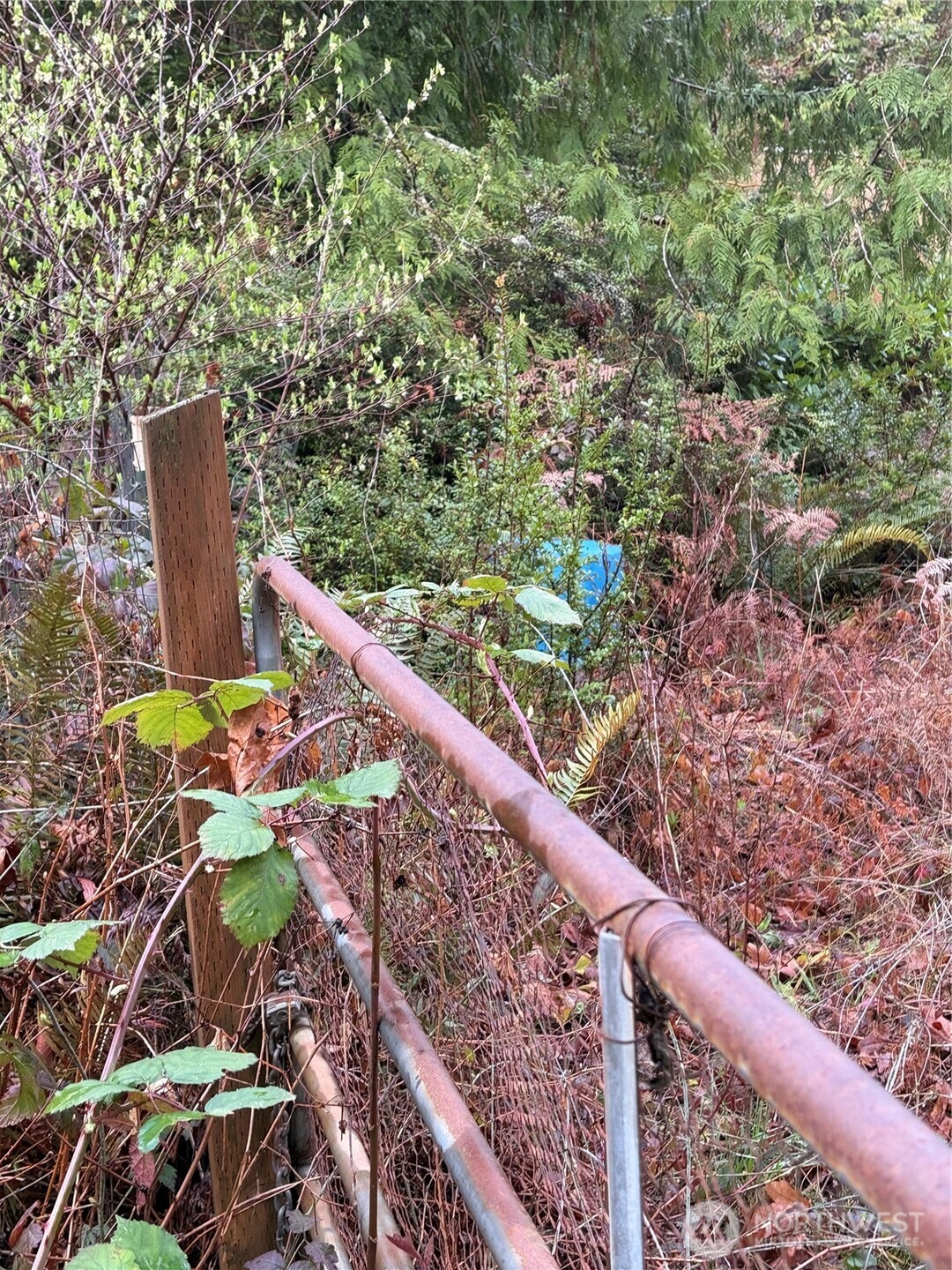 156 Whitney Road , Quilcene, WA 98376