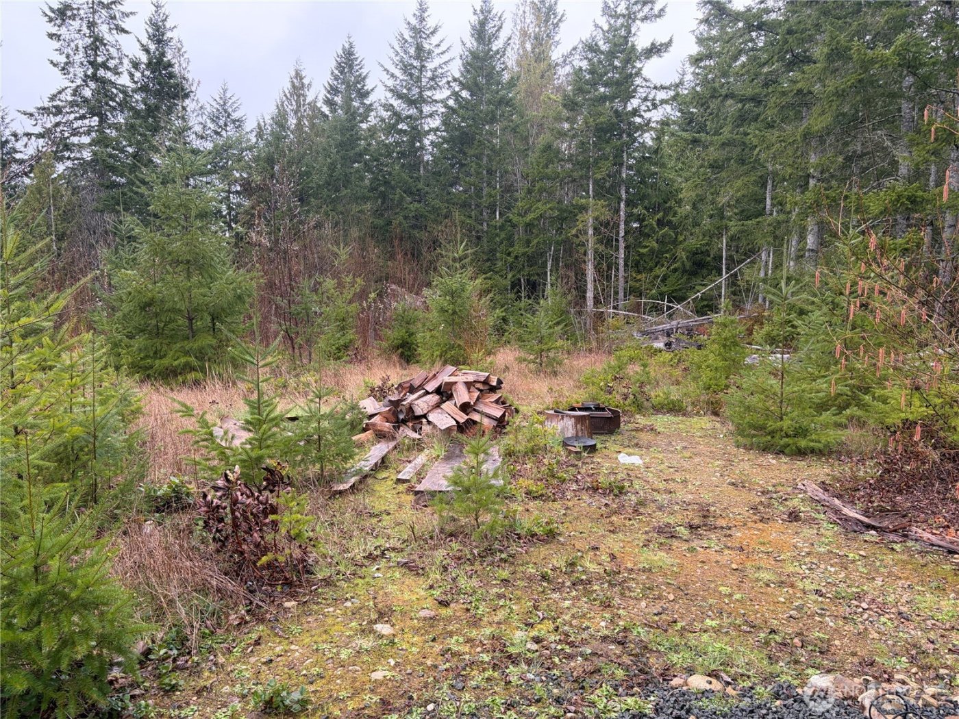 156 Whitney Road , Quilcene, WA 98376