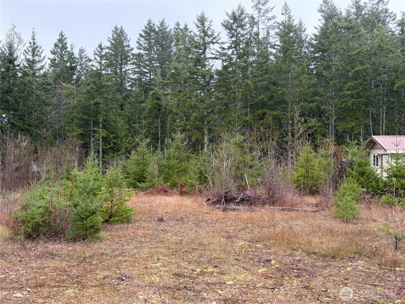 156 Whitney Road , Quilcene, WA 98376