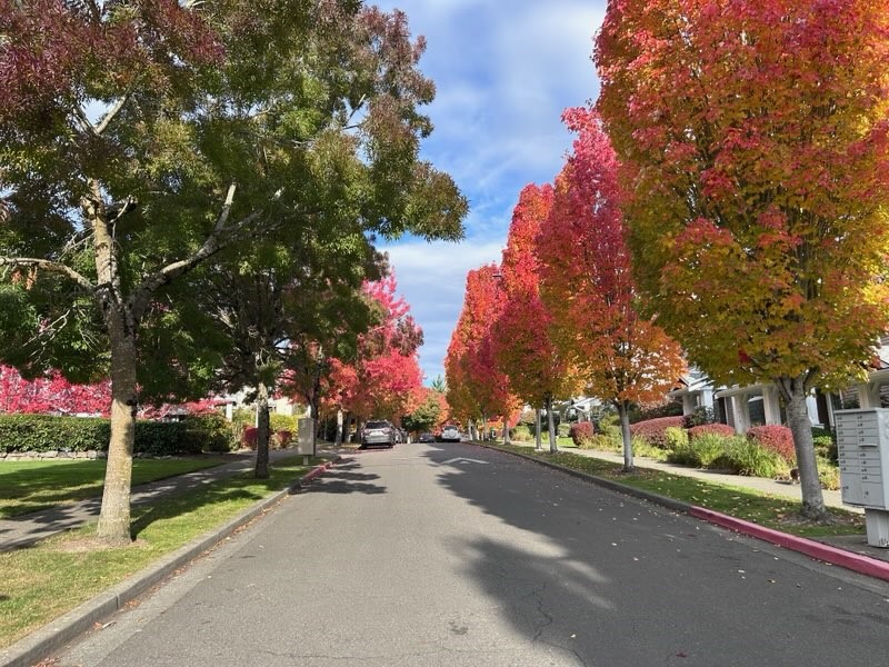 7020 Holly Park Drive S #W2, Seattle, WA 98118