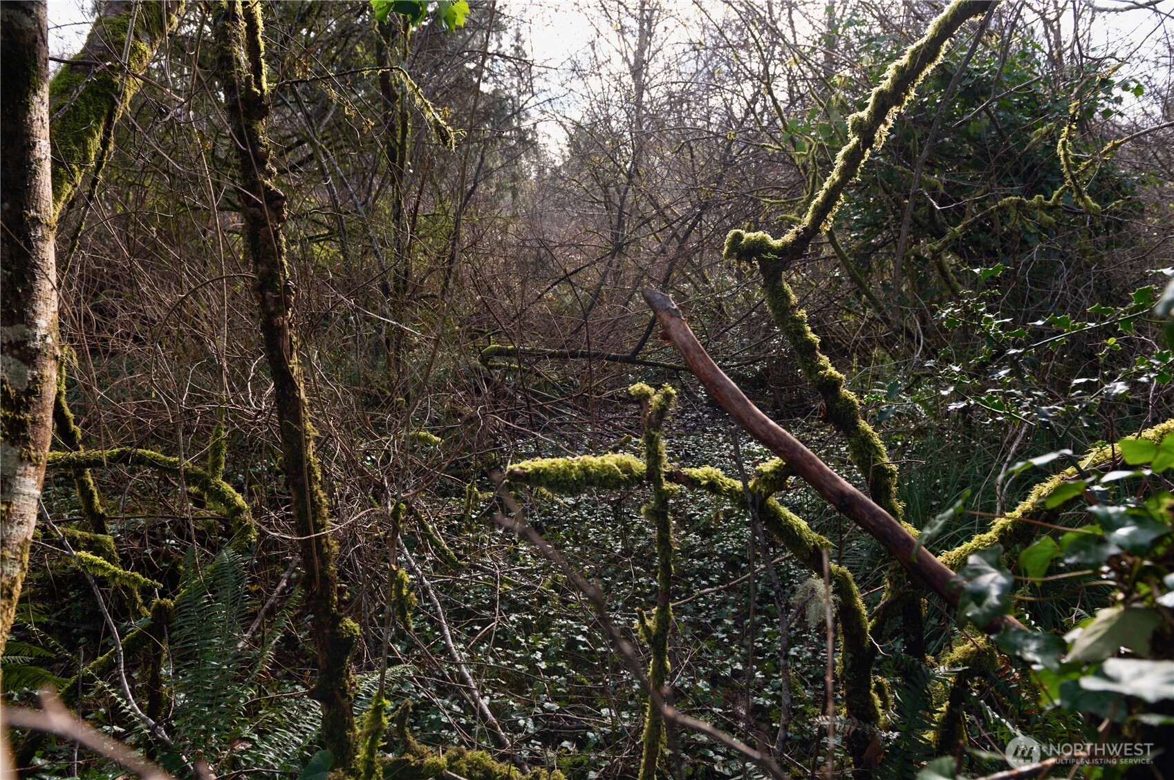 0 E Schley Street , Aberdeen, WA 98520