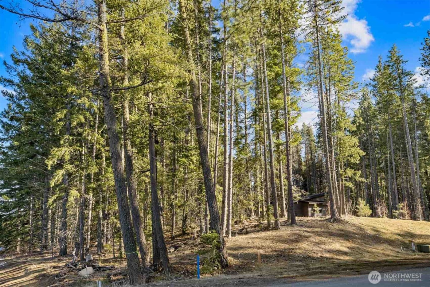 7 Tumble Creek Drive , Cle Elum, WA 98922