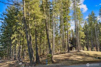 7 Tumble Creek Drive , Cle Elum, WA 98922 - Photo 7