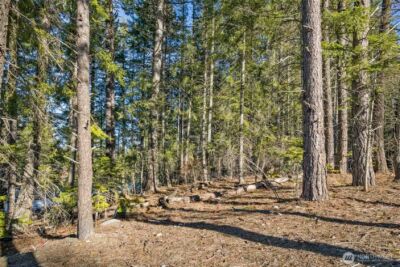 7 Tumble Creek Drive , Cle Elum, WA 98922 - Photo 9
