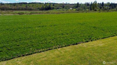 0 Gish Road #Lot 1, Onalaska, WA 98570 - Photo 2