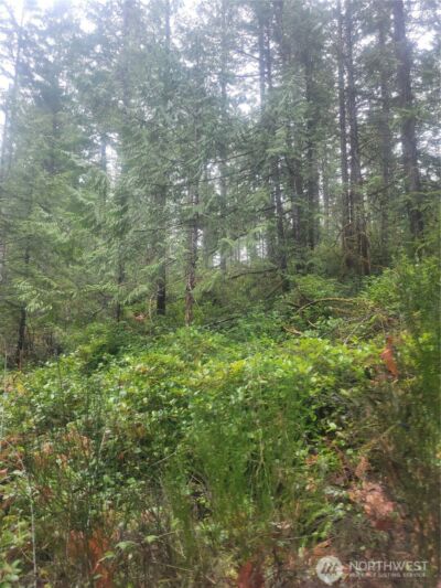 1 GD 2048 Rd , Union, WA 98592-9665 - Photo 1