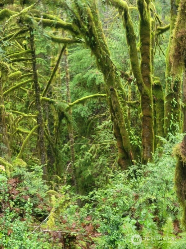 1 GD 2048 Rd , Union, WA 98592-9665