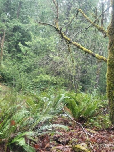 1 GD 2048 Rd , Union, WA 98592-9665 - Photo 3