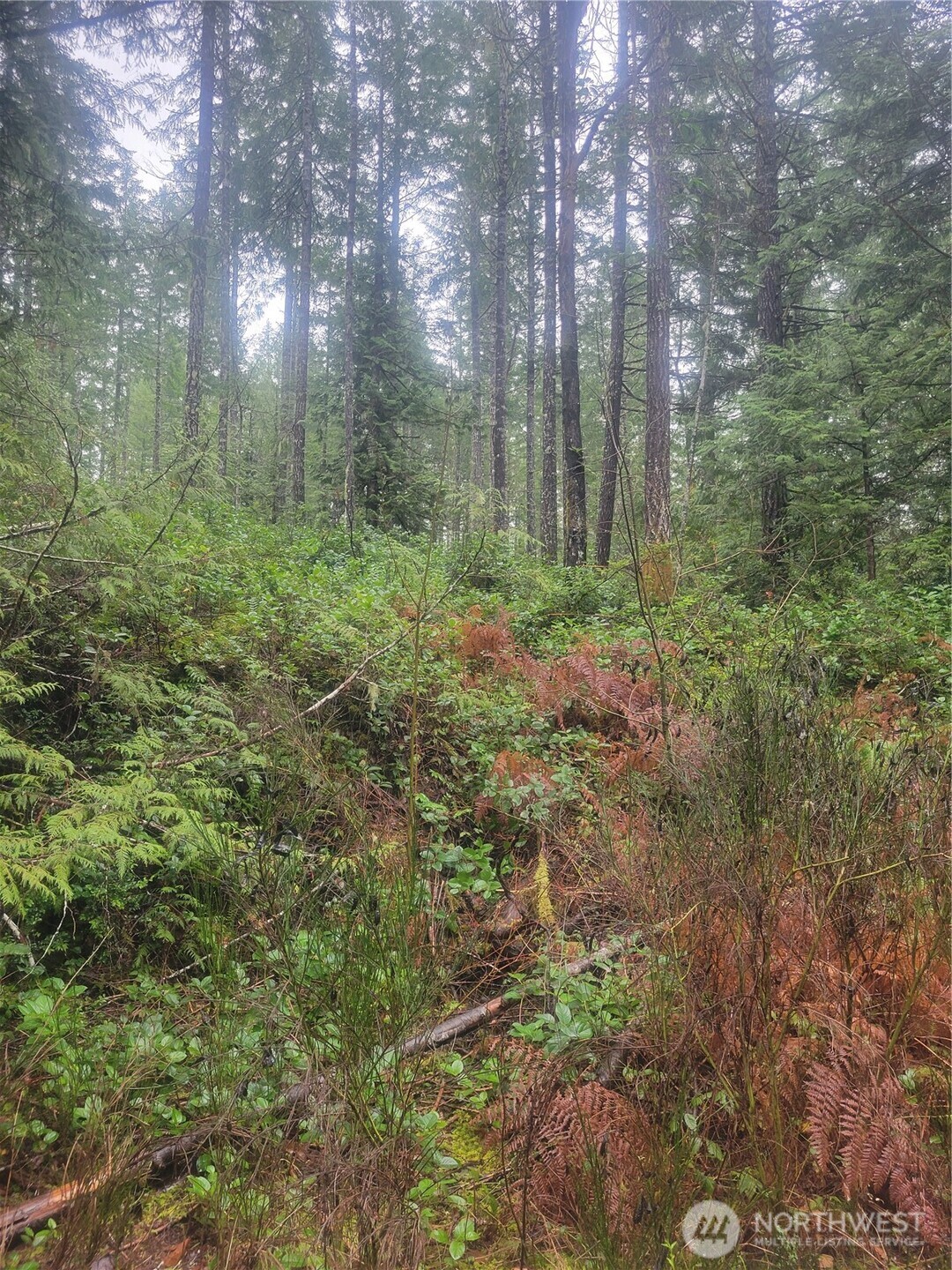 1 GD 2048 Rd , Union, WA 98592-9665