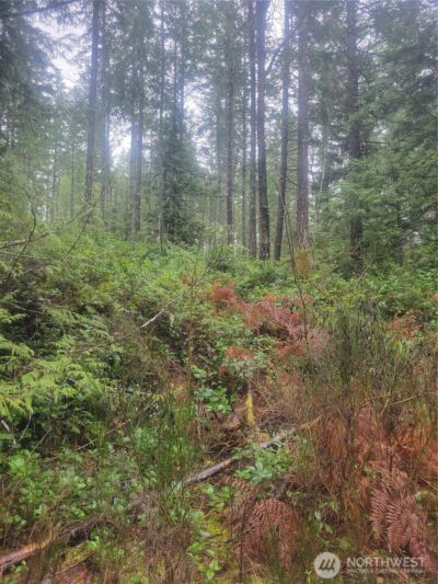 1 GD 2048 Rd , Union, WA 98592-9665 - Photo 4