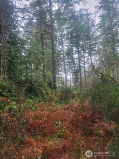 1 GD 2048 Rd , Union, WA 98592-9665 - Photo 5