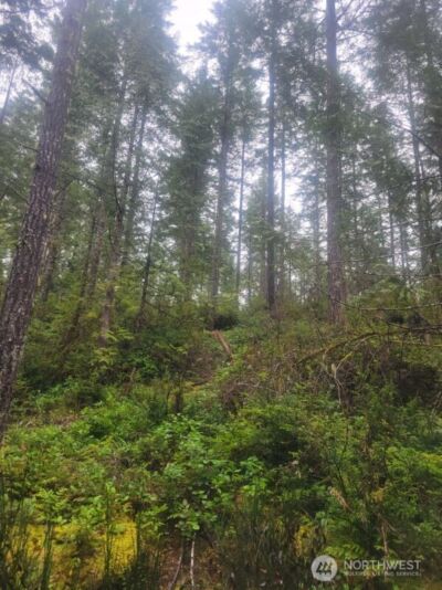 1 GD 2048 Rd , Union, WA 98592-9665 - Photo 6