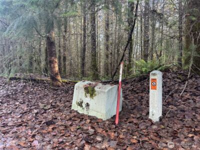 233 Shy Bear Road , Toutle, WA 98649 - Photo 3