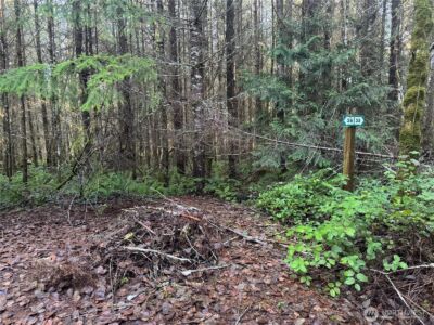 233 Shy Bear Road , Toutle, WA 98649 - Photo 4