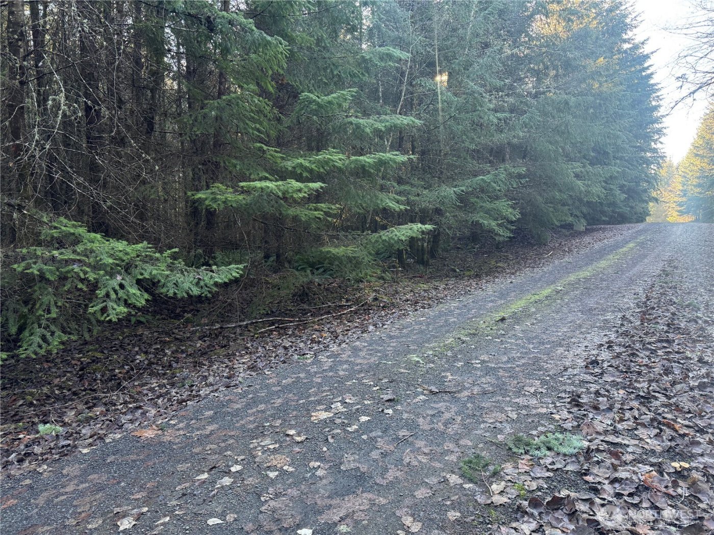 233 Shy Bear Road , Toutle, WA 98649