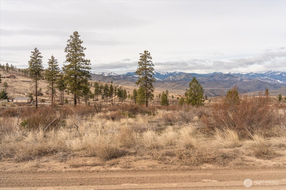 817 Bill Shaw Road , Methow, WA 98834