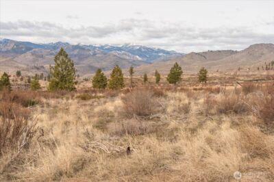 817 Bill Shaw Road , Methow, WA 98834 - Photo 2