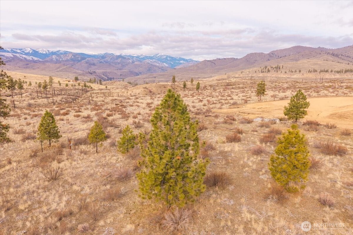 817 Bill Shaw Road , Methow, WA 98834