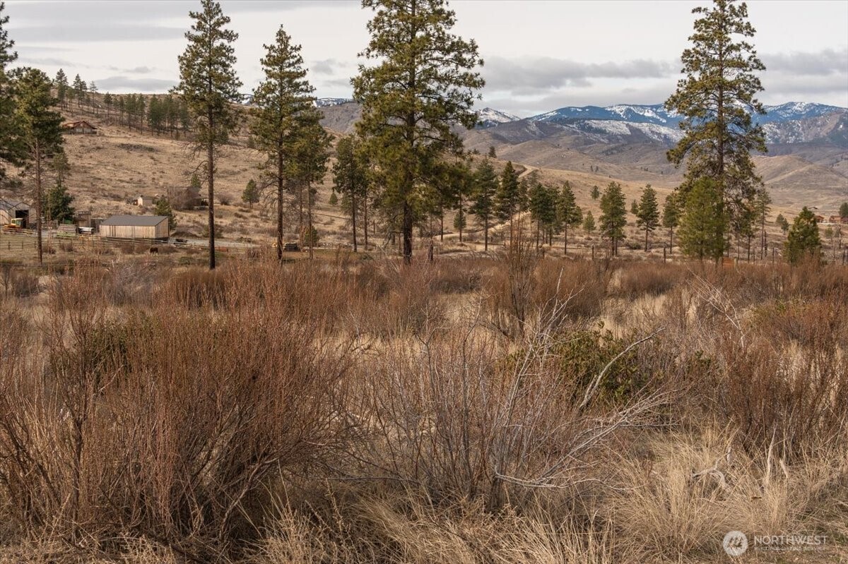 817 Bill Shaw Road , Methow, WA 98834