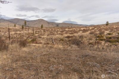 817 Bill Shaw Road , Methow, WA 98834 - Photo 10