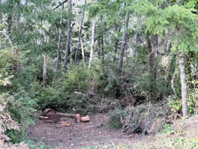 0 U Street , Ocean Park, WA 98640 - Photo 2