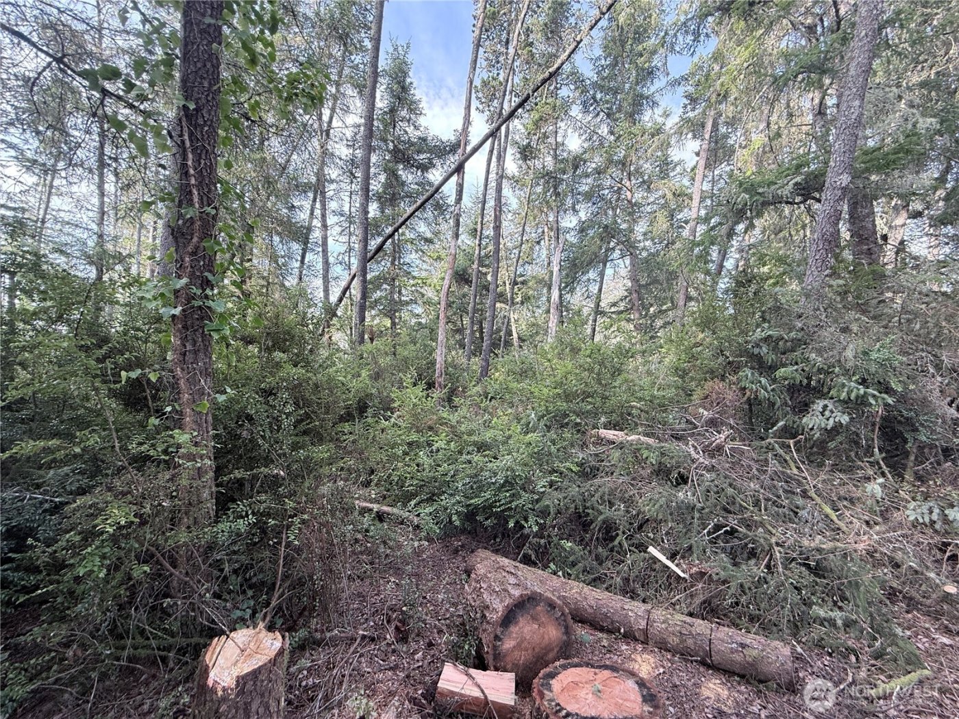 0 U Street , Ocean Park, WA 98640