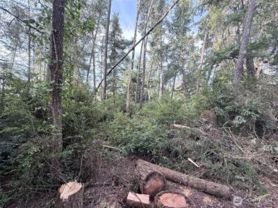 0 U Street , Ocean Park, WA 98640 - Photo 3