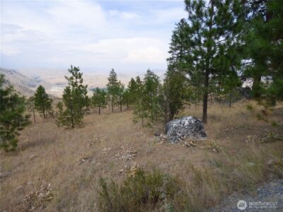 0 Mountain Point Rd , Brewster, WA 98812 - Photo 11