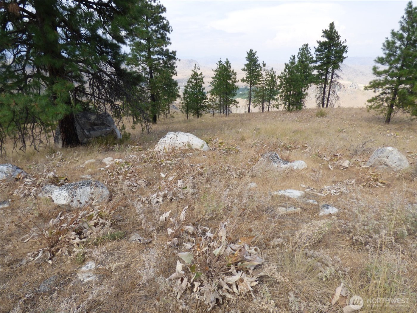 0 Mountain Point Rd , Brewster, WA 98812