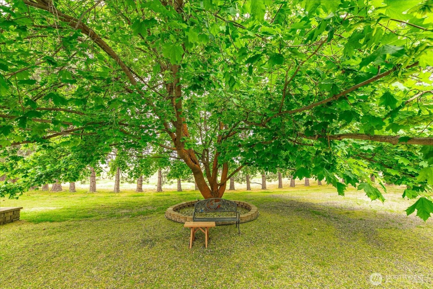 1470 State Route 174 , Grand Coulee, WA 99133