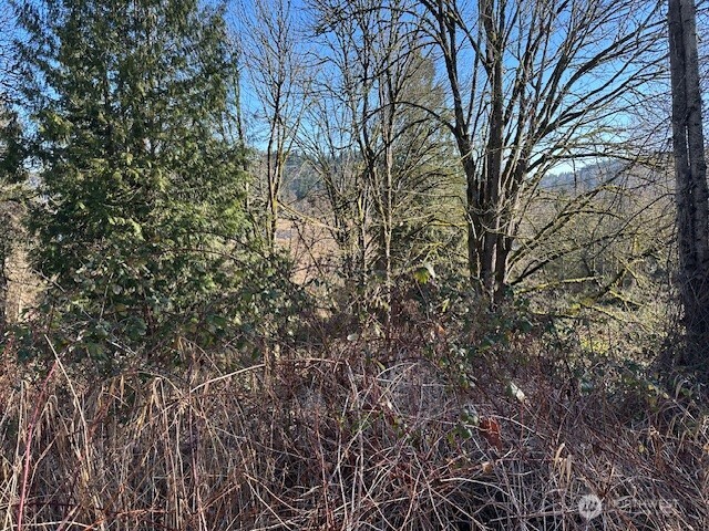 57 XX 188th Avenue NE, Redmond, WA 98053