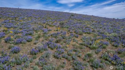 0 Lot 2 Burch Mountain Road , Wenatchee, WA 98801 - Photo 11