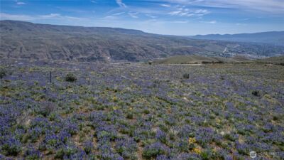 0 Lot 2 Burch Mountain Road , Wenatchee, WA 98801 - Photo 12