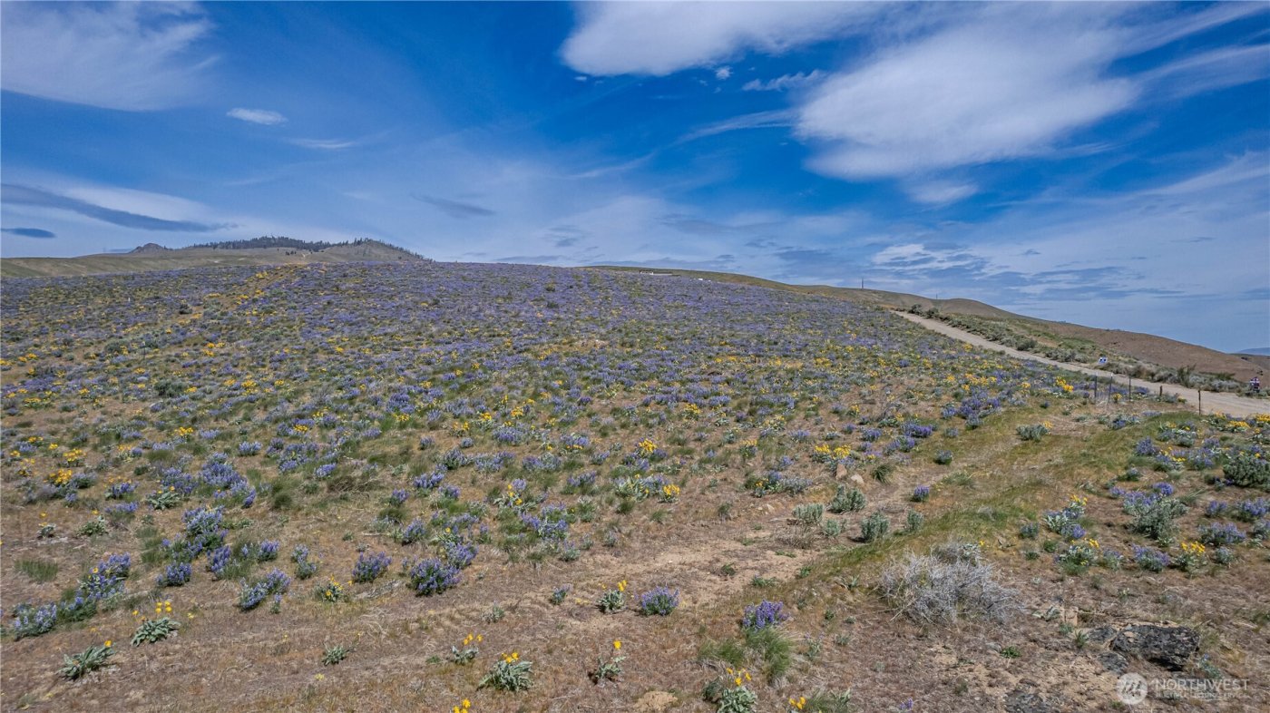 0 Lot 2 Burch Mountain Road , Wenatchee, WA 98801