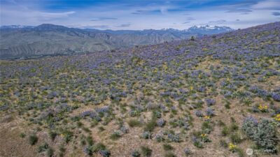 0 Lot 2 Burch Mountain Road , Wenatchee, WA 98801 - Photo 13